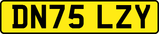 DN75LZY