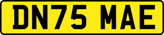 DN75MAE