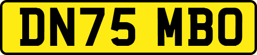 DN75MBO