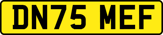 DN75MEF