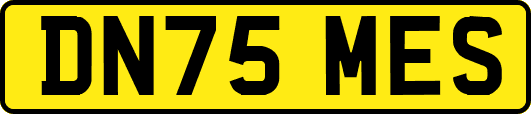 DN75MES