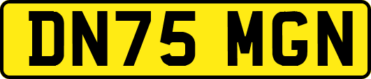DN75MGN