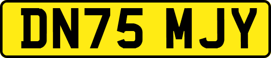 DN75MJY