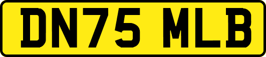 DN75MLB