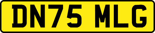 DN75MLG