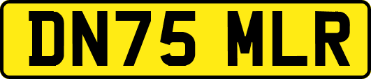 DN75MLR