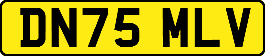 DN75MLV