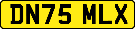 DN75MLX