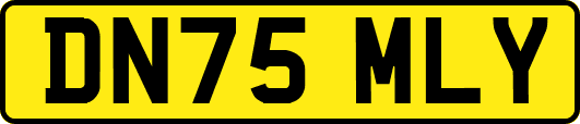 DN75MLY