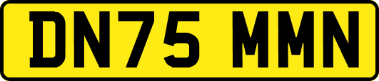 DN75MMN