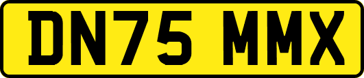 DN75MMX