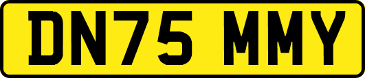 DN75MMY