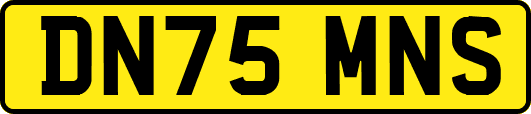 DN75MNS