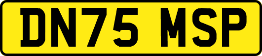 DN75MSP