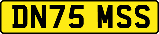 DN75MSS