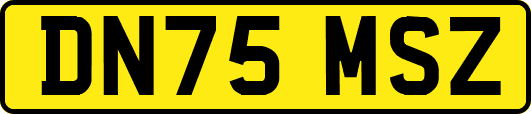 DN75MSZ