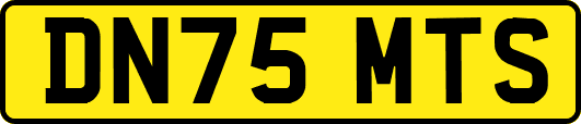 DN75MTS