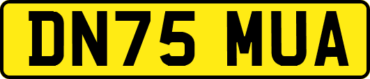 DN75MUA