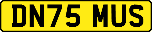 DN75MUS
