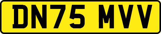 DN75MVV