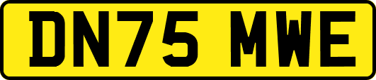 DN75MWE