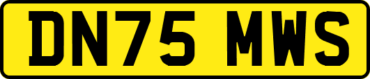 DN75MWS