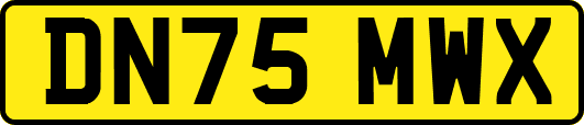 DN75MWX