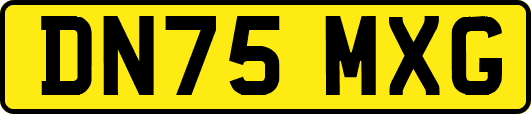 DN75MXG