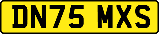 DN75MXS