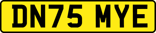 DN75MYE