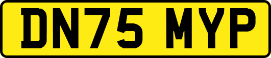 DN75MYP