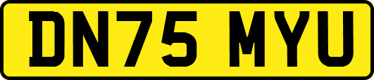 DN75MYU