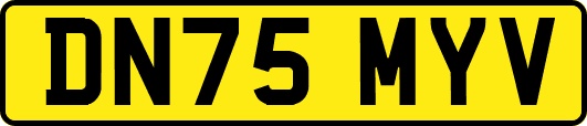 DN75MYV