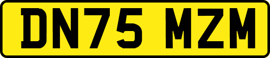 DN75MZM