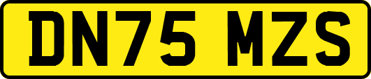 DN75MZS