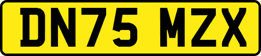 DN75MZX