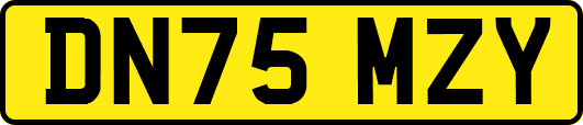 DN75MZY