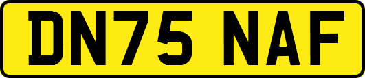 DN75NAF