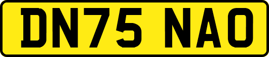 DN75NAO