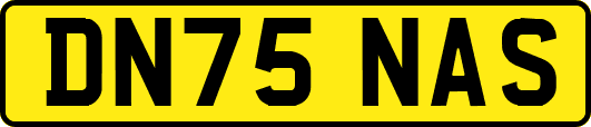 DN75NAS
