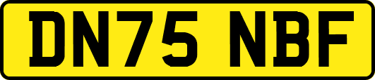 DN75NBF