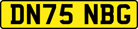 DN75NBG