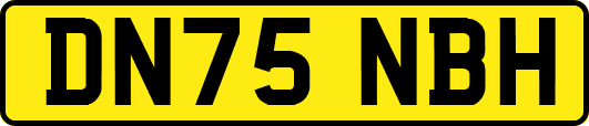 DN75NBH