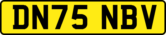 DN75NBV