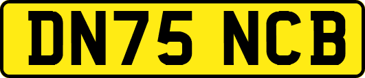 DN75NCB