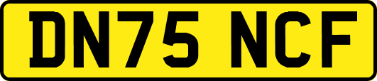 DN75NCF