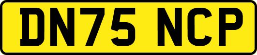 DN75NCP