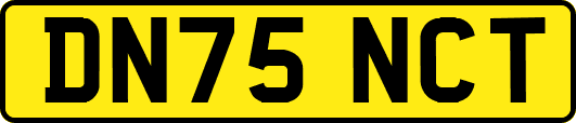 DN75NCT