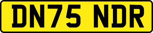 DN75NDR