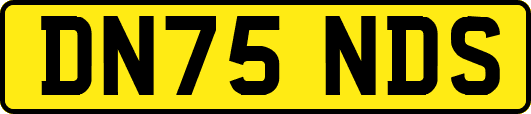 DN75NDS